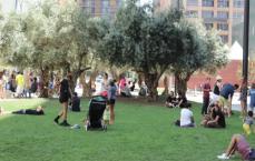 Families& Tourist enjoy park