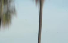 Muscle Beach Sign