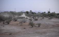  Motorcycle riding in a dessert.
